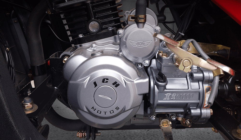 Motor de la Moto carguero JCH 300XL
